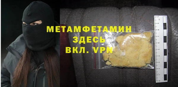 прущие грибы Снежногорск