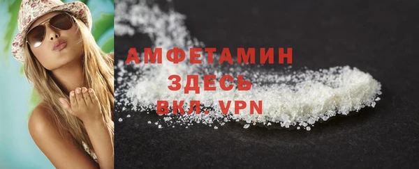 прущие грибы Снежногорск