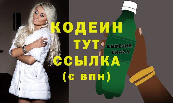 прущие грибы Снежногорск