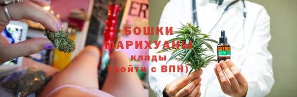 прущие грибы Снежногорск