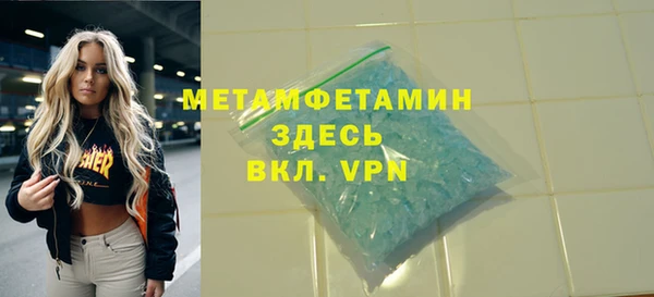 прущие грибы Снежногорск