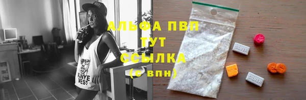 прущие грибы Снежногорск