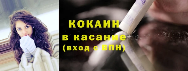 прущие грибы Снежногорск