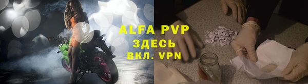 прущие грибы Снежногорск