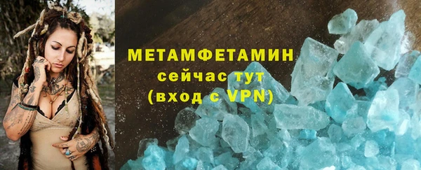 прущие грибы Снежногорск