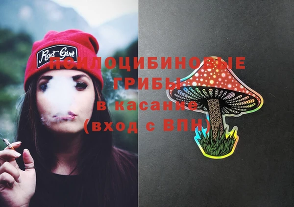 PSILOCYBIN Богородск
