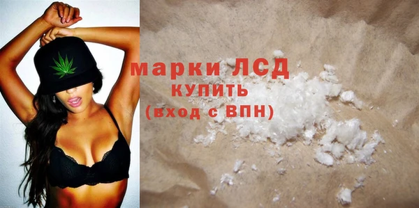 прущие грибы Снежногорск