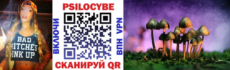 MEGA ТОР  Тотьма  Галлюциногенные грибы прущие грибы 